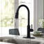 Pull Down Single Handle Kitchen Faucet-1779989192