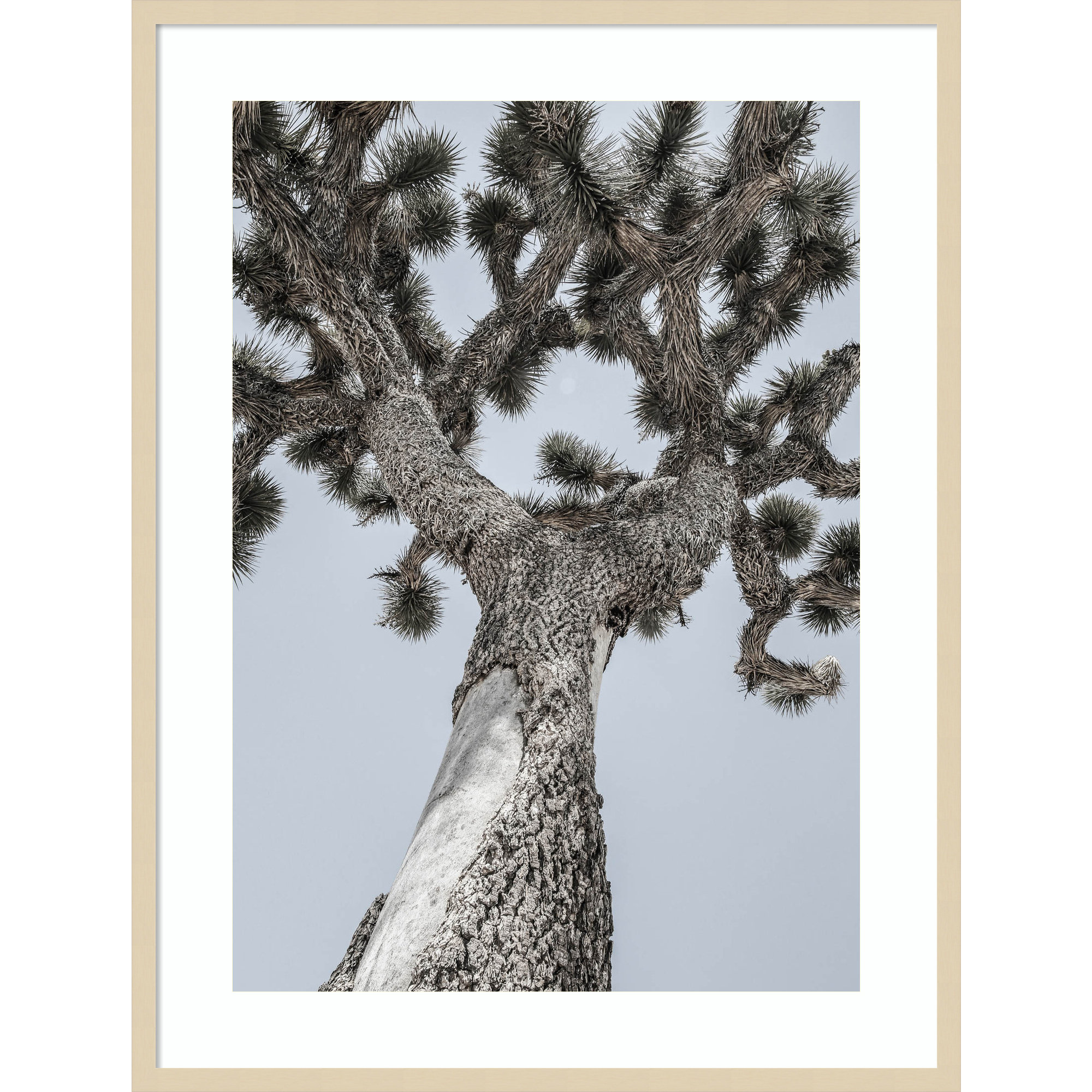 Joshua by Shot by Clint Wood Framed Wall Art Print, 41" H x 31" W, Brown 