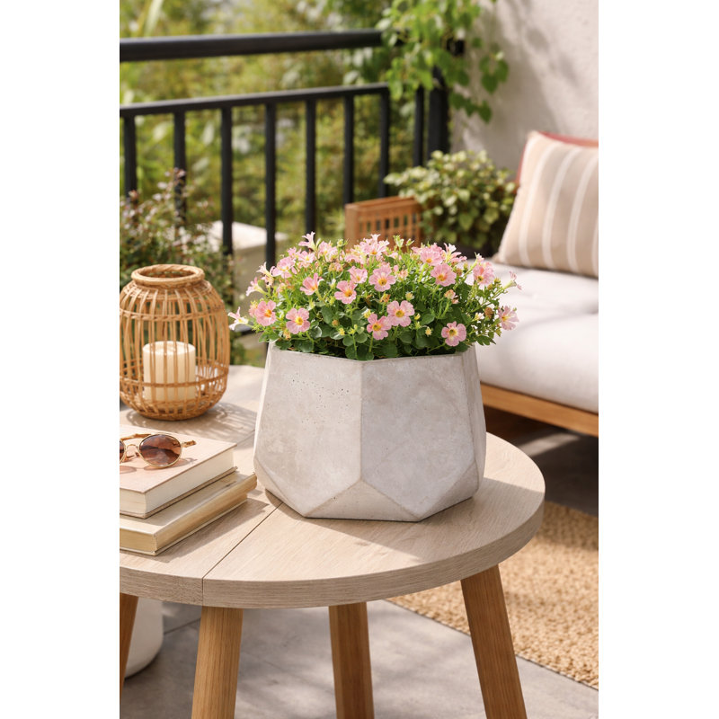 7 in. Tall Hexagon Planter 