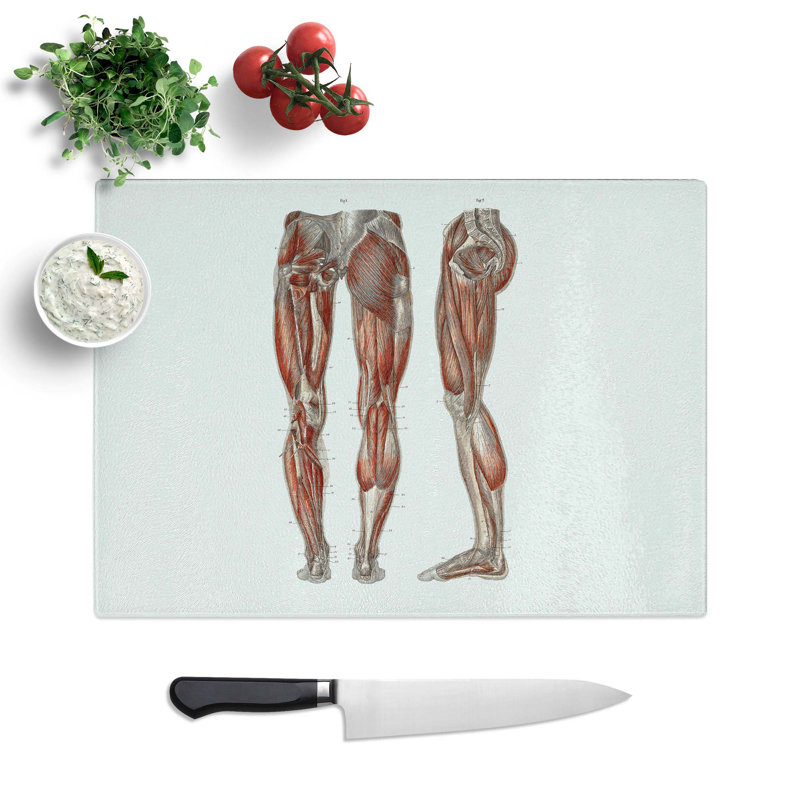 Tempered Glass Anatomy of the Leg Muscles Chopping Board, 39 cm W x 28.5 cm L