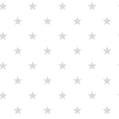 Galaxy 10m x 53cm Matte Wallpaper Roll