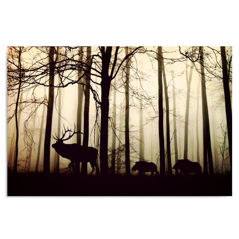 Animals In The Forest - No Frame Print on Canvas, 60cm H x 90cm W