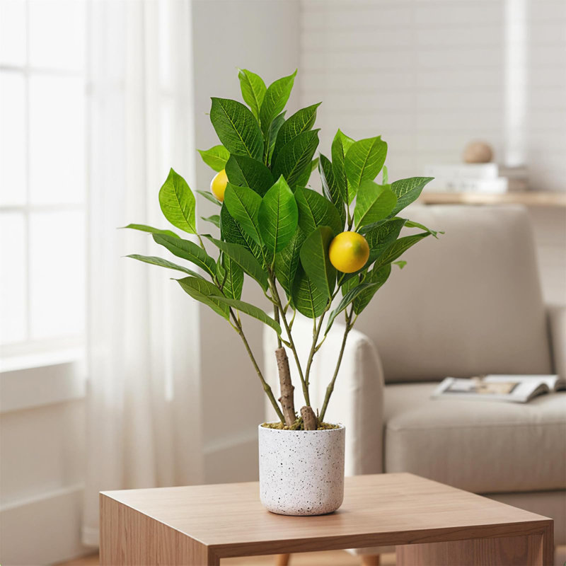 Small Realistic Lemon Tree for Countertop Use