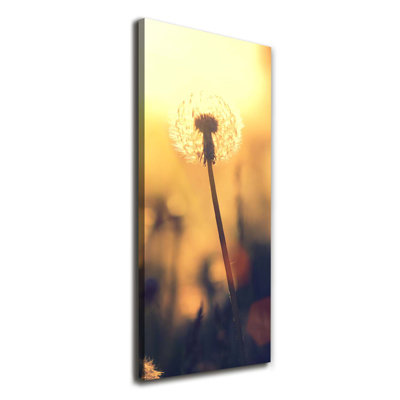 Dandelion - Wrapped Canvas Print