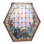 20" Wide X 20" High Succulent Window