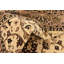 Tapis bourgogne Bhatari-606552090-606552546
