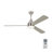 Ceiling Fan with LED Lights-220343680-211481073