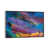 Silver Floater Framed