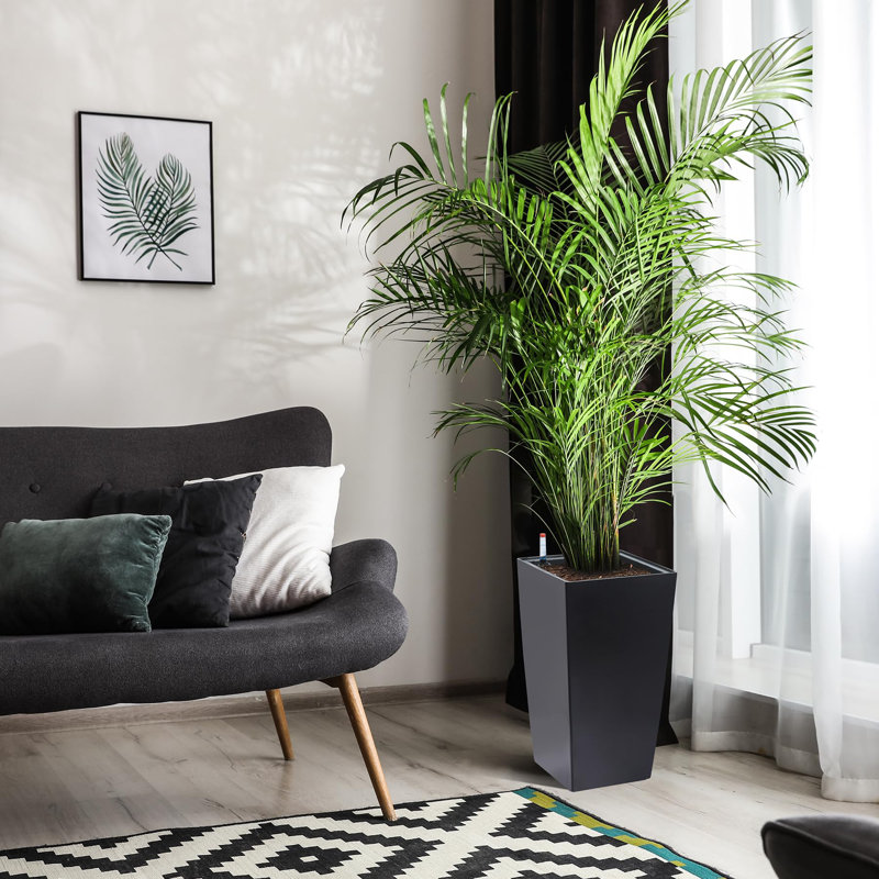 Ensemble de pots à fleurs 16 po de hauteur, H 21,6 po x l 11,5 po x P 11,5 po, Noir