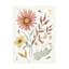 Art mural sur toile «Bachelor» par Anne Tavoletti-101098357