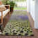 Chayil Area Rug with Non-Slip Backing