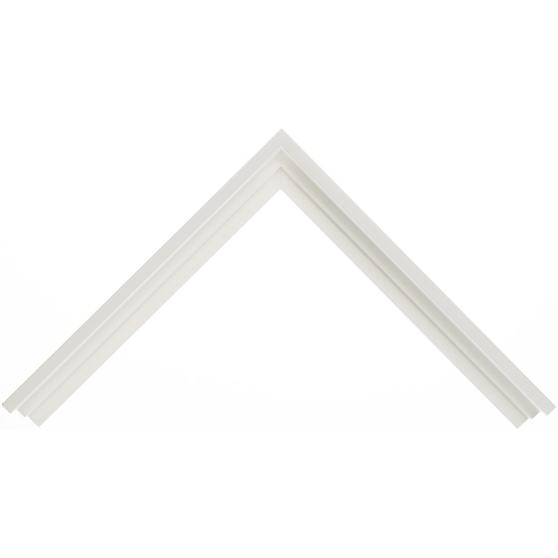 " Aztec Floral II ", 12" H x 12" W, No, White Floater Framed Canvas