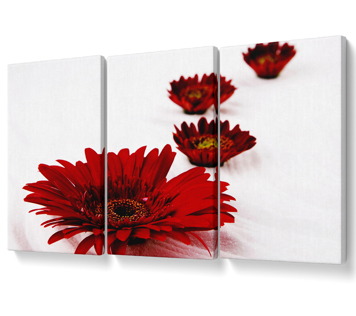 Ebern Designs Red Gerbera Heads - 3 Piece Wrapped Canvas Graphic Art ...