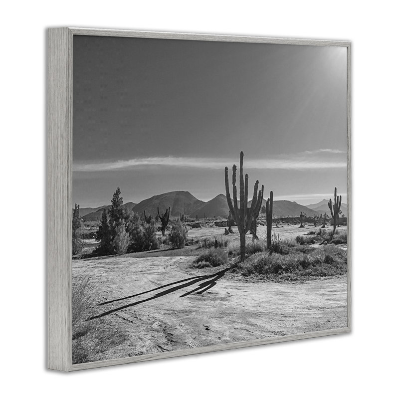 Giclée encadrée par Sun Cactus Valley, design par Norm Stelfox, H 11 po x l 14 po, Estampe numérique Farmhouse