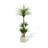 High-End Dragon's Blood Tree Bionic Green Plant