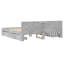 Storage Bed-58558675-58558670