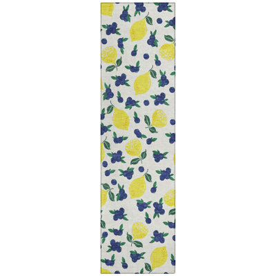 Machine Washable Indoor/Outdoor Bourkelands ACN2354 Fruits Rug
