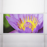 Octo Lights - Fluorescent Light Covers - Flexible Decorative Light Diffuser Panels - Flower - For Classrooms And Offices - Flower 003