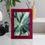 Vert succulent tropical vert III-173666795-173666797