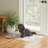 Ducote Washable Gray and Beige Machine Woven area rug-563725840