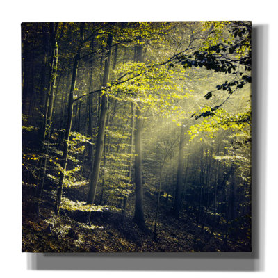 «Being There Revisité» par Dirk Wustenhagen, art mural sur toile, 12 po x 12 po