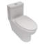 Ceramic One Piece Toilet, Dual Flush With Soft Clsoing Seat
