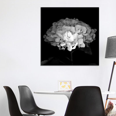 Hydrangea VI by Magda Indigo - Wrapped Canvas Print