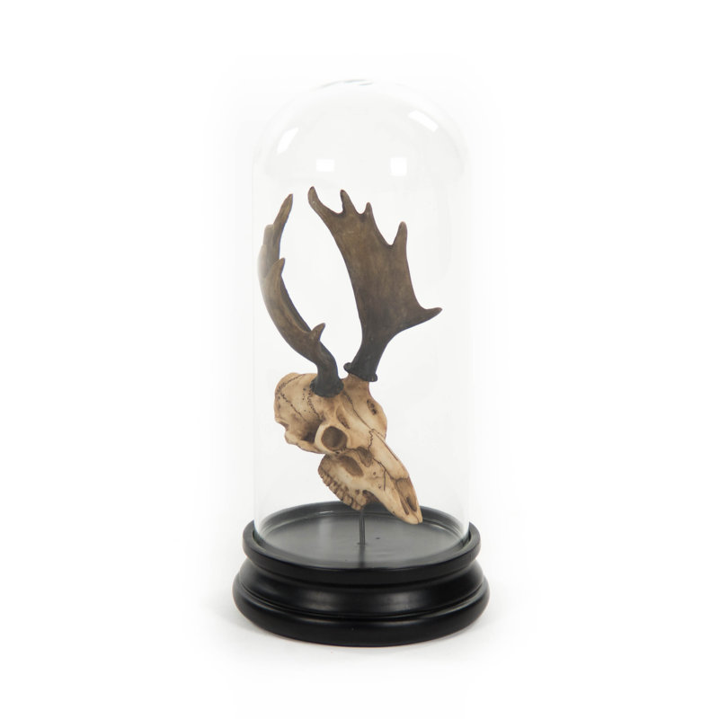 Deer Skull with Bel Glass Sculpture