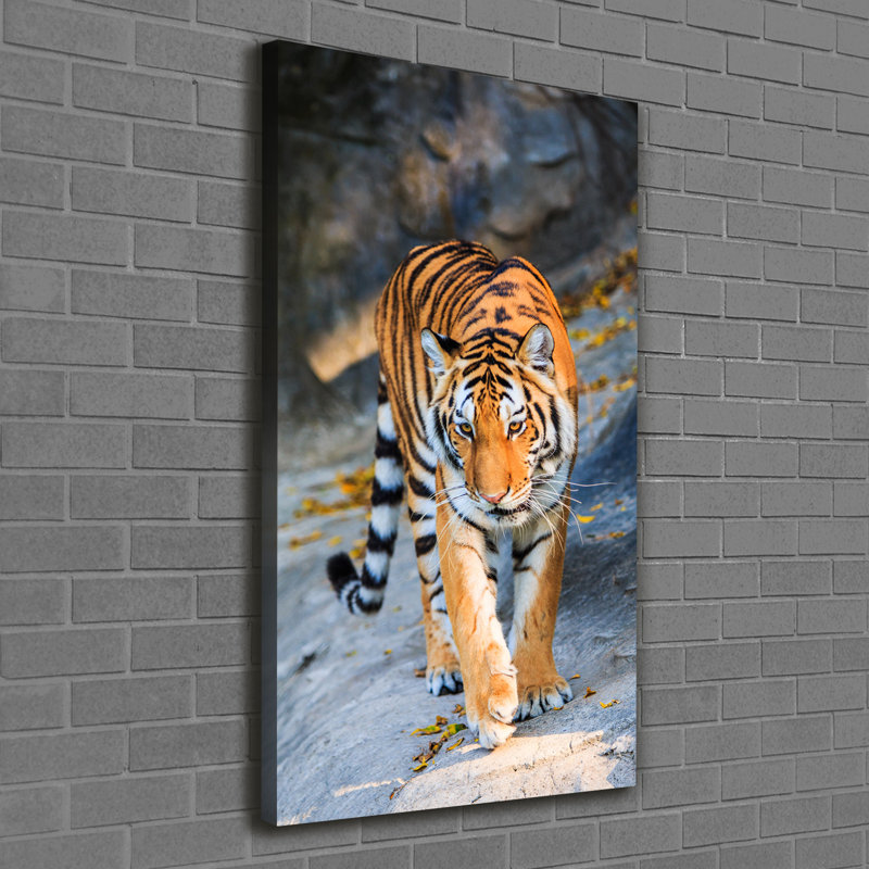 Tiger - Wrapped Canvas Print