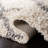 Sgd-Dallas Shag Performance Geometric Rug-273225550