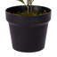 Ficus artificiel panaché 24 po
