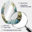 Miroir mural Birch Woods Whispering Winds X-1016560468