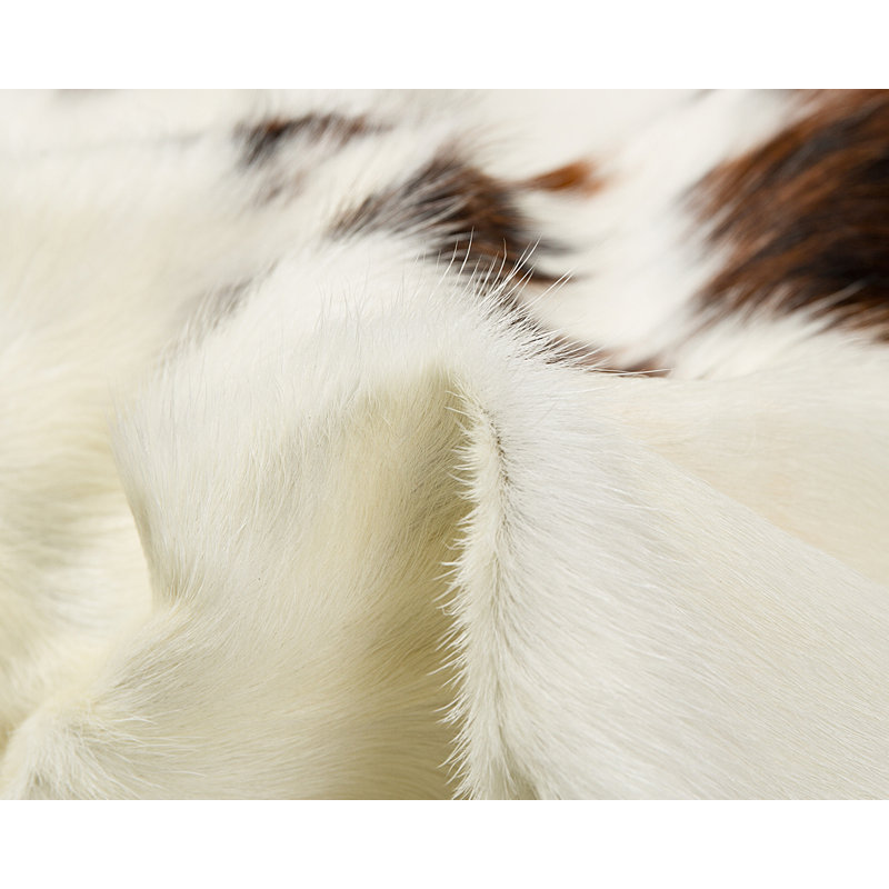 Abhinav Cowhide Animal Print Indoor Rug