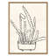 Peregrina II Giclee Print by Susan Hable