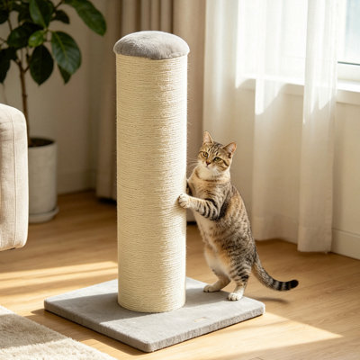 75.5 cm H Cat Scratchers