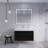 Babajide 42'' Single Bathroom Vanity with Acrylic Top-401843388