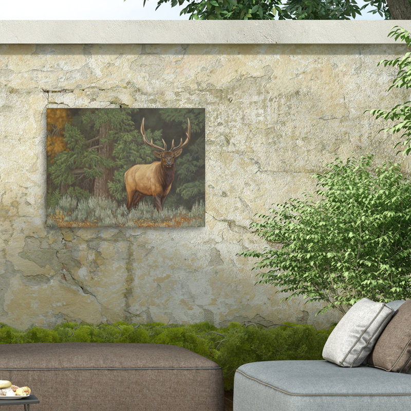 Jeff Hoff Out Of The Brush Outdoor  Canvas, 14" H x 19" W
