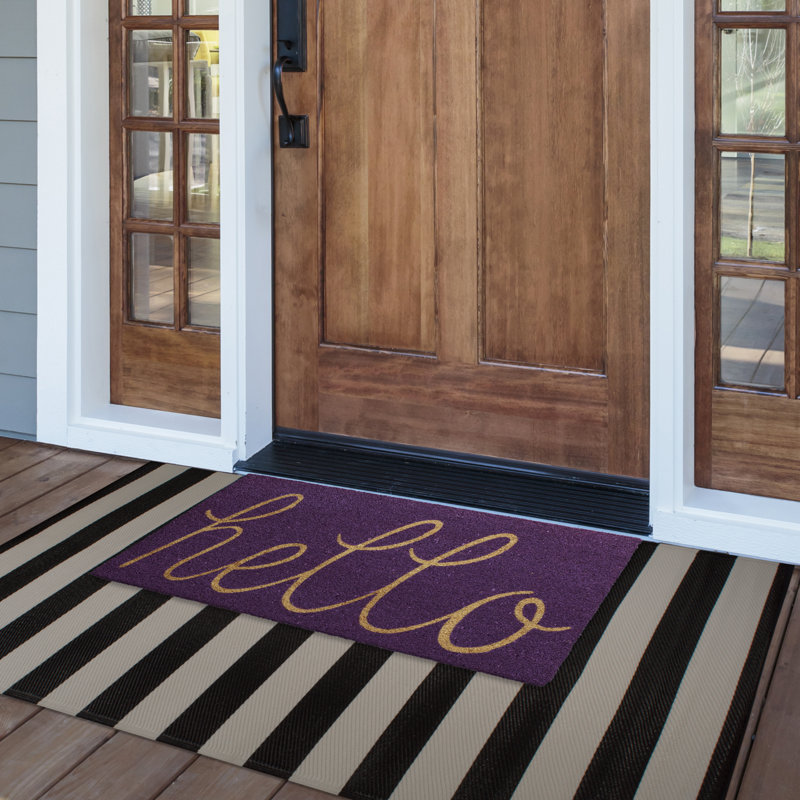 Tapis d'entrée antidérapant Jahki 30 po x 18 po, Violet