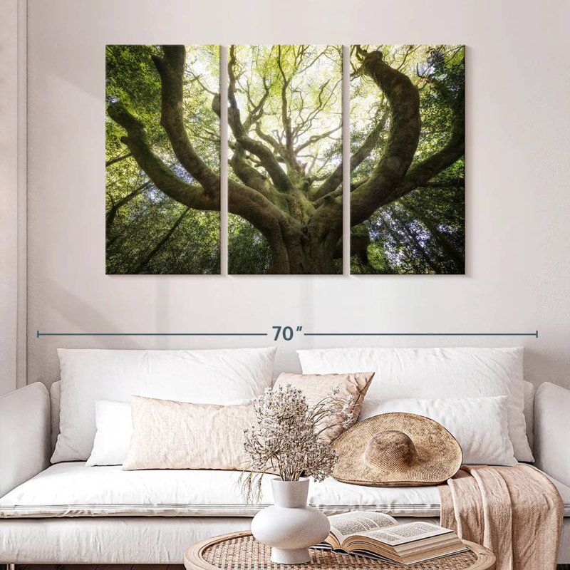 Harnek The Old Octopus Beech, 32" H x 50" W
