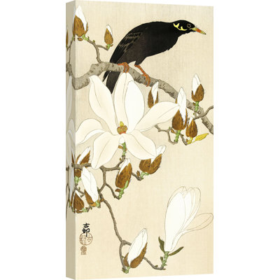 2JP6337 Myna On Magnolia Branch by Ohara Koson - Wrapped Canvas Print