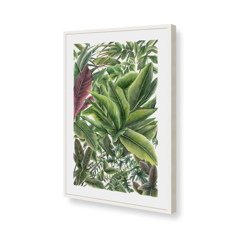 Reproduction d'art «Verdant Canopy Study» par Dollybirds, H 49,25 po x l 33,25 po, Opaque White Framed Print