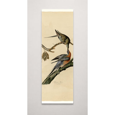Passager pigeon (plaque LXII, 1827) - grande toile d'art mural