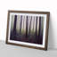 A Mysterious Summer Forest - Framed Print-1983029197-1983029196