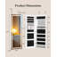 Jewelry Cabinets with Mirror and LED Lights, Door Hanging/Wall Mounted Jewelry Armoire-2033662831