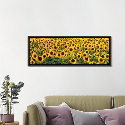 " Sunflowers (Helianthus Annuus) In A Field, Bouches-Du-Rhone, Provence, France " by Panoramic Images