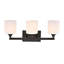 3 - Light Vanity Light