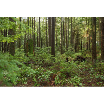 " Pacific Northwest "