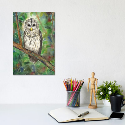 Barred Owl par Christine Reichow - reproduction imprimée