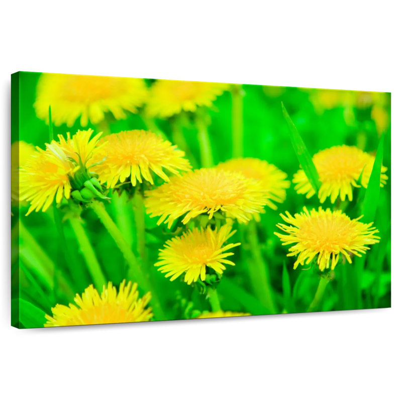 Harnek Bright Yellow Dandelions, 16" H x 24" W