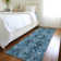 Mexia Washable Oriental Indoor / Outdoor Rug